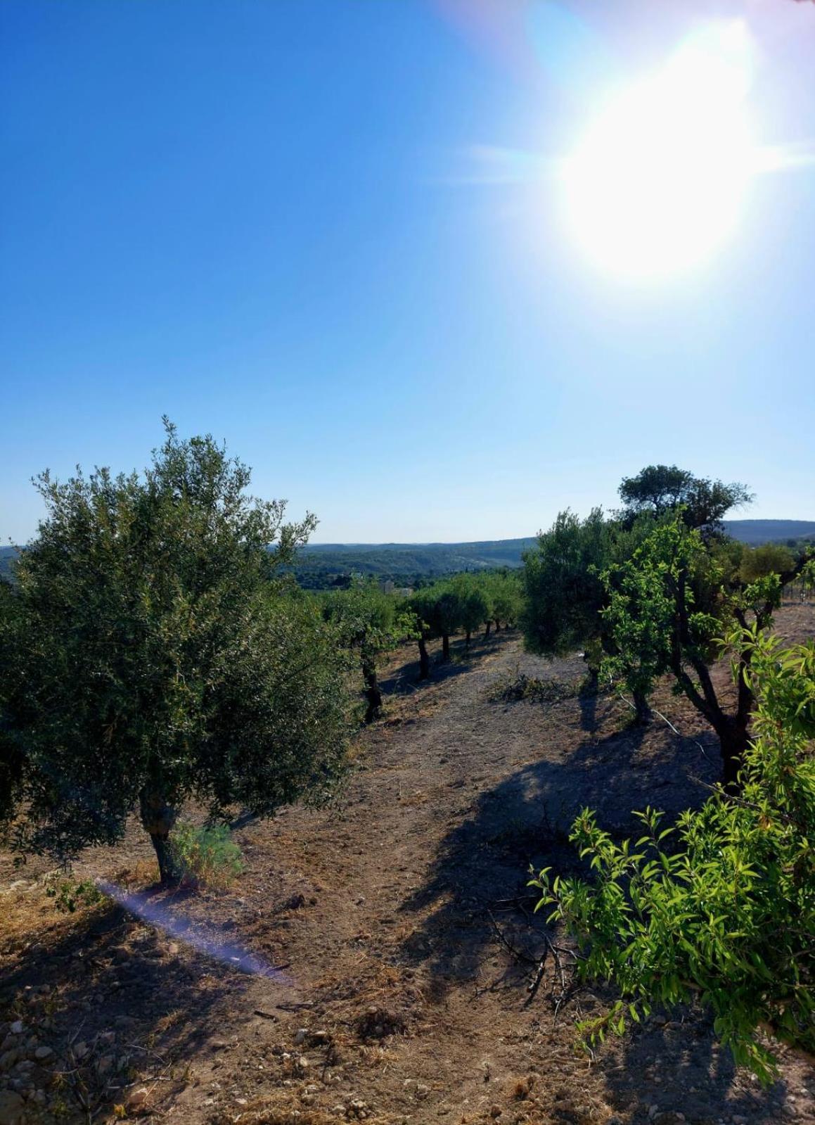 "Bnb Noto" - Charming Tiny House Eksteriør billede