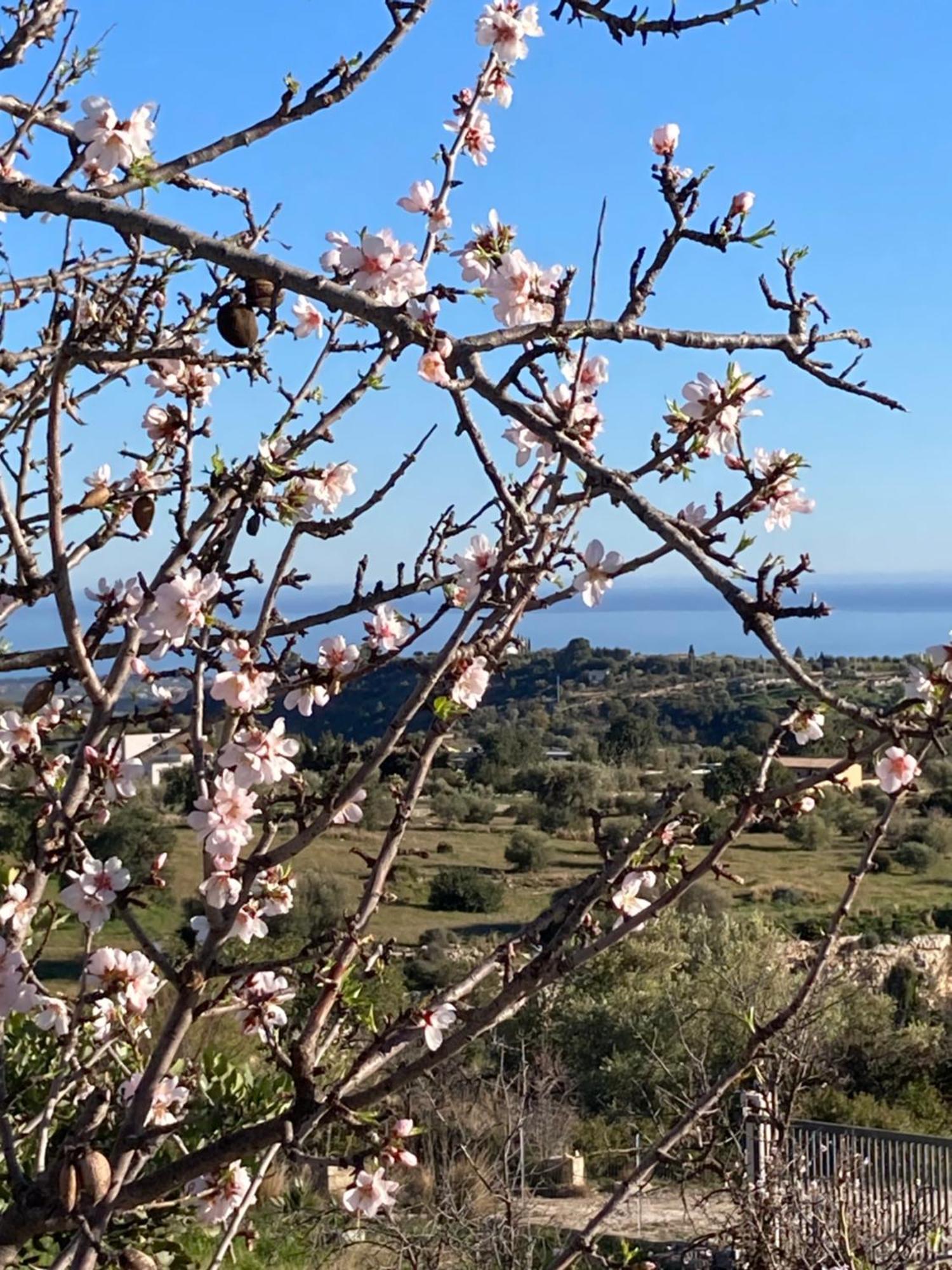 "Bnb Noto" - Charming Tiny House Eksteriør billede